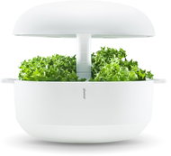 Plantui 6 Smart Garden, white - Smart Flower Pot
