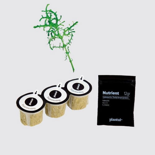 Plantui Mustard Fringed Red, 3 Capsules - Capsule - Main image