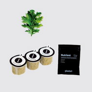 Plantui Mustard Wasabina, 3 Capsules - Capsule