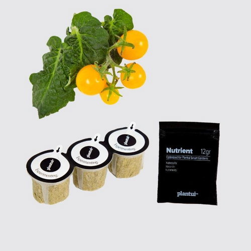 Plantui Cherry Tomatoes Venus, 3 Capsules - Capsule - Main image