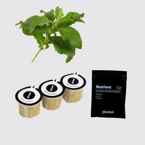 Plantui Stevia, 3 Capsules - Capsule - Main image