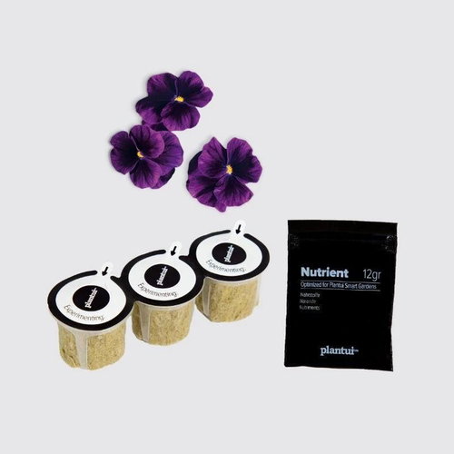 Plantui Horned Violet (Pansy) Purple, 3 Capsules - Capsule - Main image