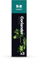 Plantui CORIANDER - Capsule