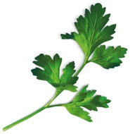 Plantui Flatleaf Parsley, 3 Capsules - Capsule