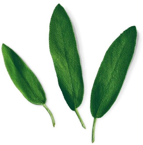Plantui Sage, 3 Capsules - Capsule - Main image