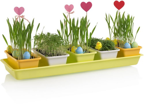 PLASTKON Truhlík mix MINIGARDEN 60 SPRING multipack 2ks - Flower Box - Main image