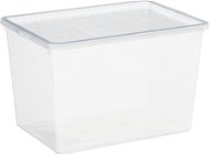 Plast Team - Úložný box na topánky na vysokom opätku 23,8 × 34 × 21,2 cm Basic Shoe Box - Úložný box