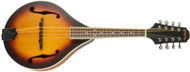 PILGRIM VPMA50AV - Mandolin