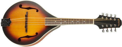 PILGRIM VPMA50AV - Mandolin - Main image