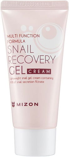MIZON Snail Recovery Gel Cream 45 ml - Pleťový gel - Hlavní obrázek