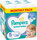 Junior (150 pcs) - monthly pack