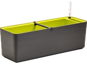 Plastia Berberis 60 Self-irrigation Box, Anthracite + Green - Flower Box