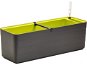 Plastia Berberis 80 Self-irrigating Box, Anthracite + Green - Flower Box