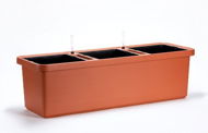 Plastia Self-watering Box Berberis TRIO, Terracotta - Flower Box