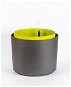 Plastics Berberis 55 Self-watering Large Volume Container - Flower Pot
