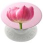 PopSockets PopGrip Gen.2, It Takes Tulip, rosafarbene Tulpe - Handyhalterung