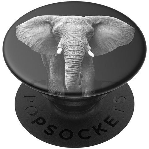 PopSockets PopGrip Gen.2 Loxodonta Africana - Holder - Main image
