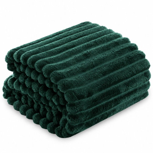 Posteloholici 1273126 Nuvio microfibre heated blanket, 200 × 220 cm, green Main image Posteloholici 1273126 Nuvio microfibre heated blanket, 200 × 220 cm, green - Blanket - Main image