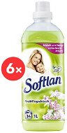 SOFTLAN with spring floral fragrance 6×1 l (204 washes) - Fabric Softener