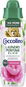 COCCOLINO Booster First Bloom 460 ml (20 praní) - Parfém na praní