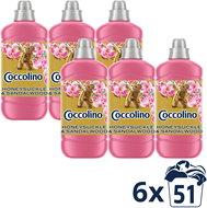 COCCOLINO Honeysuckle & Sandalwood 6 × 1275 ml - Fabric Softener