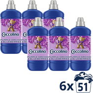 Coccolino Purple Orchid & Blueberries 6 × 1275 ml - Öblítő