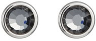 Preciosa Náušnice Carlyn z chirurgické oceli s českým křišťálem Preciosa, chrom - Earrings