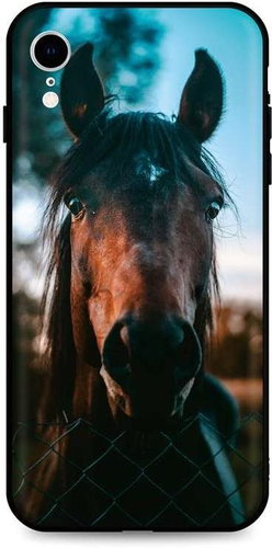 TopQ iPhone XR silicone Horse 49073 - Phone Cover - Main image