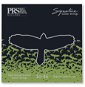 PRS Signature Strings, Light - Struny