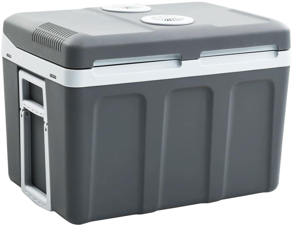 12 volt best sale cooler box