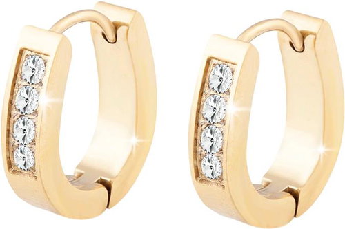 Biju Earrings in surgical steel plated with 18k gold, oval with cubic zirconia, 1002009 - Earrings - Main image