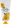 Chrysanthemum Hand Cream, 100 ml