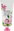 Lotus Hand Cream, 100 ml