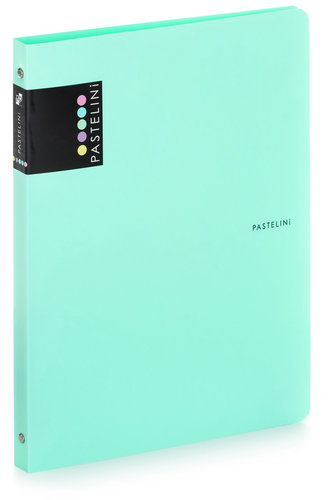 PASTELINI Ringbuch - 4-Ringe - A4 - 2 cm - grün - Dokumentenmappe - Hauptbild
