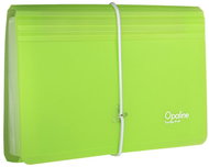 KARTON P+P Opaline document organiser with elastic band (13 pockets) DL, green - Document Folder