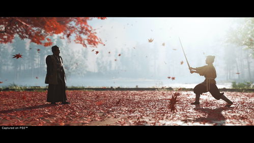 Ghost Of Tsushima: Directors Cut for PlayStation 5 [PS5] (PS5)