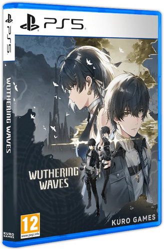 Wuthering Waves Deluxe Collection - PS5 - Console Game - Main image