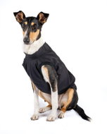 Raincoat Panter - Greyhound, L - Dog Clothes