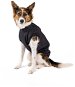 Raincoat Panter - Small dog, M - Dog Clothes