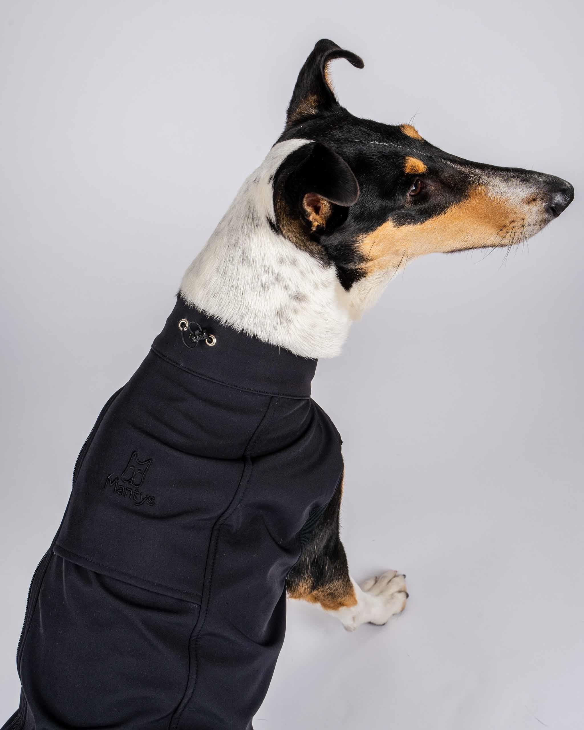 Raincoat Panter Small dog XXL Dog Clothes Alza.cz