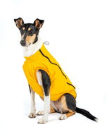 Pooh cape - Bull breed, S - Dog Clothes