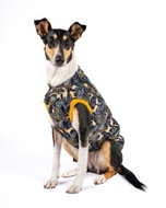 Softshell Jelinek - Big dog, L - Dog Clothes
