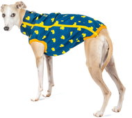 Softshell Duck - Greyhound - Dog Clothes