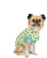 Softshell Cacti - Dachshund - Dog Clothes