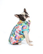 Softshell Kititi mititi - Bull breed, M - Dog Clothes