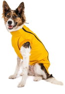 Winter jacket Pooh extended - Bull breed, M - Dog Clothes