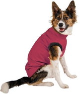 Mantys Winter jacket Vine - Bull breed, M - Dog Clothes