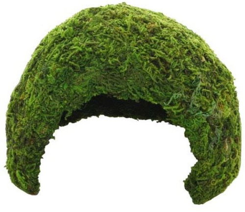 Jungle Cave 2 stash 17 × 17 × 12 cm - Terrarium Ornaments - Main image