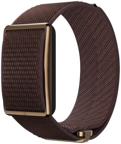 POLAR Loop Gen2 S-L brown - Sensing Device - Main image
