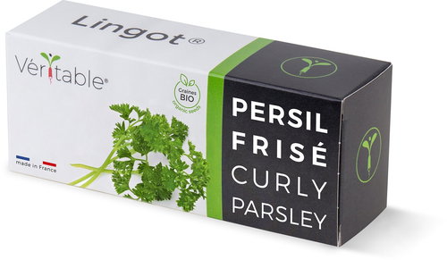 Véritable Lingot Parsley Nuts - Organic - Seedling Planter - Main image